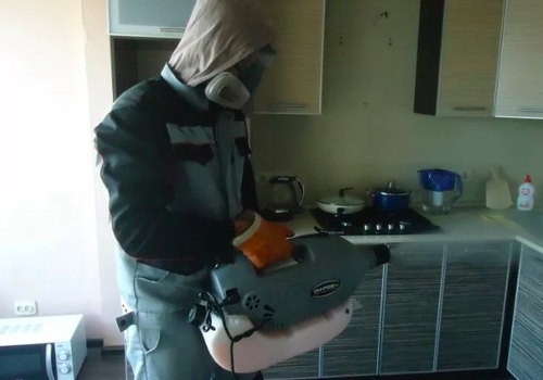 Дезинсекция квартиры от тараканов