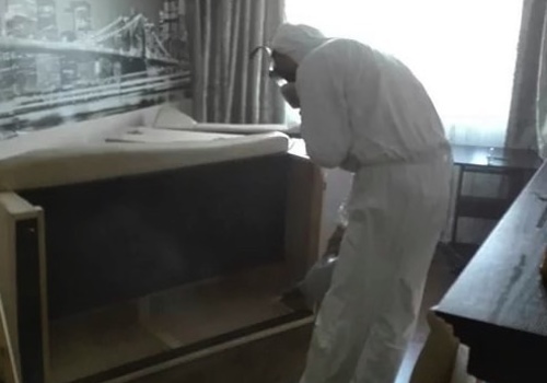 Дезинсекция помещения